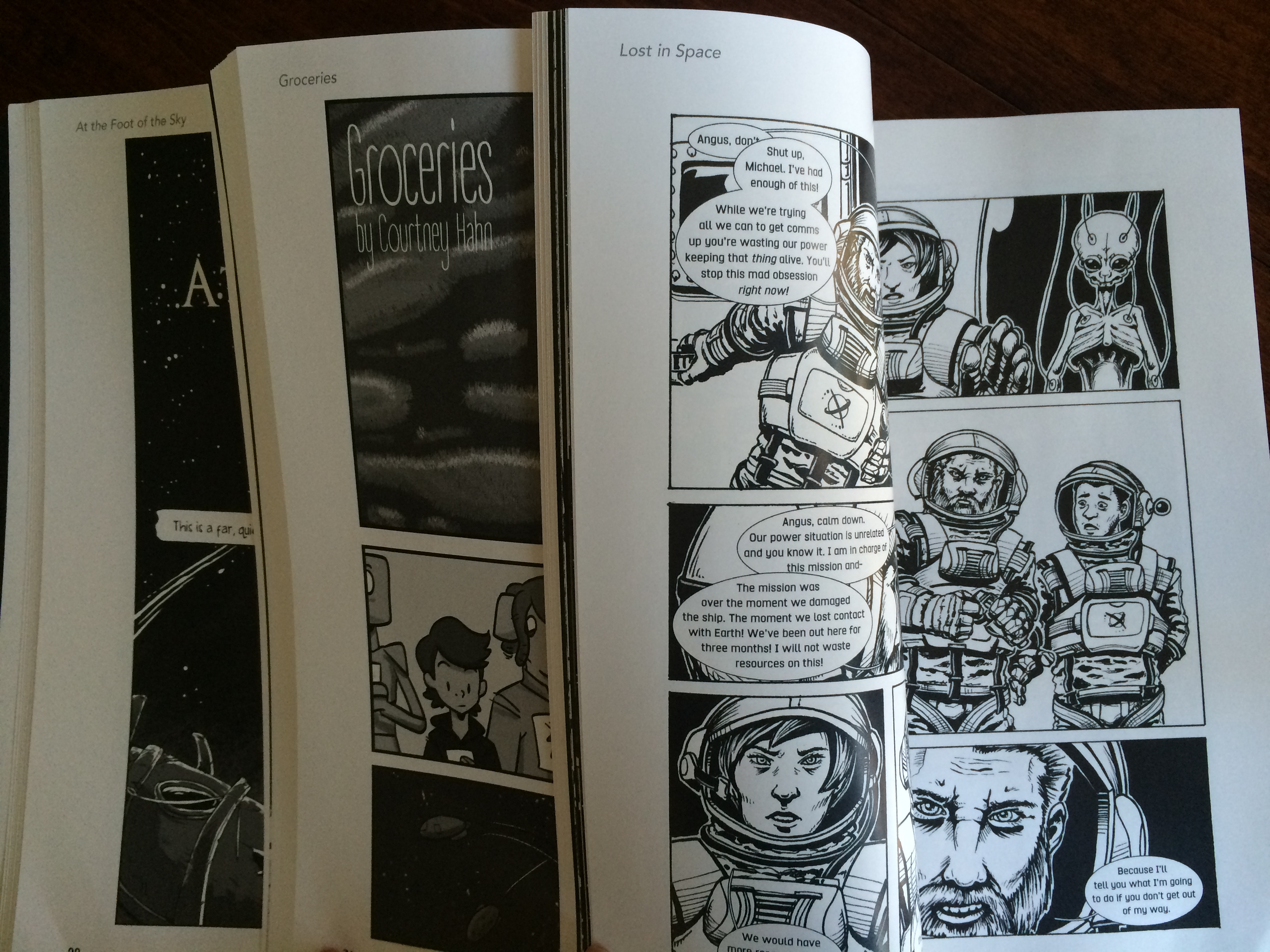 Several comics included in the anthology Enough Space for Everyone Else